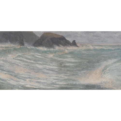 1103 - H Griffin, seascape, oil on canvas, signed and dated 1895, 24cm x 50cm, framed and glazed