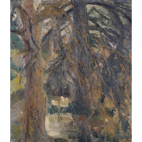 1107 - Angela Lovegrove, abstract forest scene, impasto oil on board, signed verso, 65cm x 50cm, framed