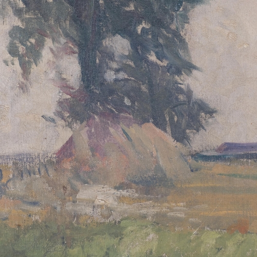 1116 - Impressionist figure in landscape, late 19th/20th century French School oil on canvas, unsigned, 51c... 