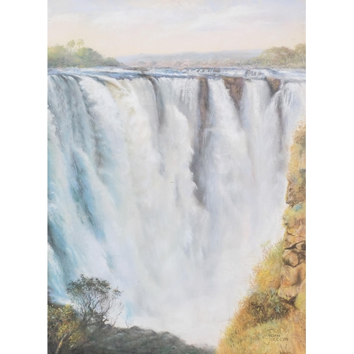 1122 - Joan Jocelyn, Victoria Falls, coloured pastels, signed, 65cm x 49cm, framed