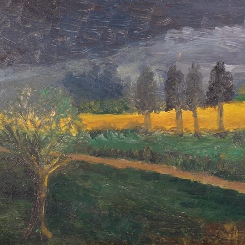 1142 - Contemporary Dutch School, storm swept landscape, oil on board, unsigned, 22cm x 46cm, framed