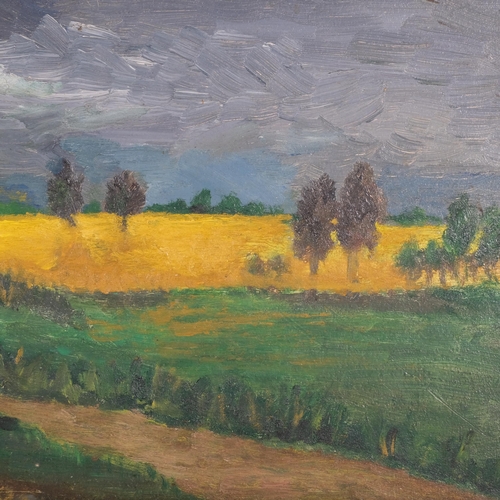 1142 - Contemporary Dutch School, storm swept landscape, oil on board, unsigned, 22cm x 46cm, framed