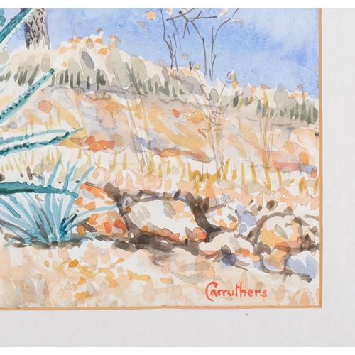 1165 - Derek Carruthers (1935-2021), watercolour on paper, Giant Cactus, signed lower right, 24cm x 35cm, m... 