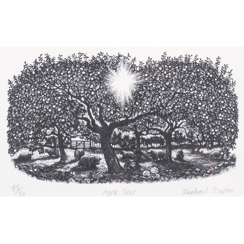 1179 - Michael Renton (1934-2001), limited edition wood engraving on paper, Apple Trees, 11cm x 18cm, mount... 