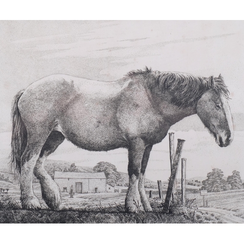 1182 - Simon Bull (1958), limited edition etching on paper, The Old Horse, signed and titled in pencil, Ed.... 