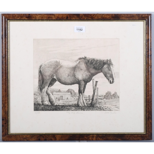 1182 - Simon Bull (1958), limited edition etching on paper, The Old Horse, signed and titled in pencil, Ed.... 