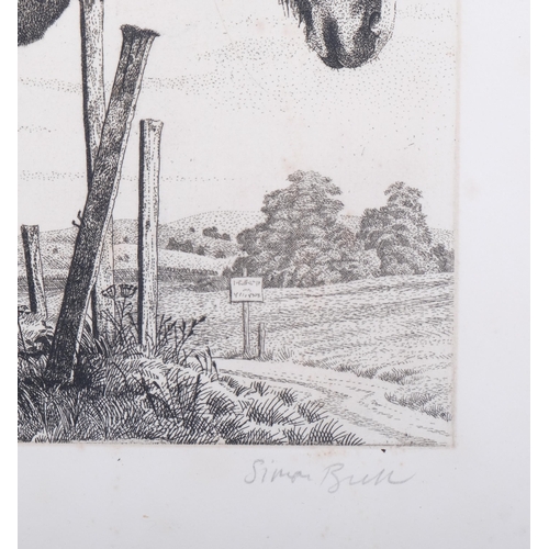 1182 - Simon Bull (1958), limited edition etching on paper, The Old Horse, signed and titled in pencil, Ed.... 