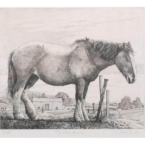 1182 - Simon Bull (1958), limited edition etching on paper, The Old Horse, signed and titled in pencil, Ed.... 