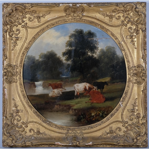 1239 - Cattle in landscape, pair of 19th century oils on canvas, unsigned, 46cm x 46cm, framed and glazed