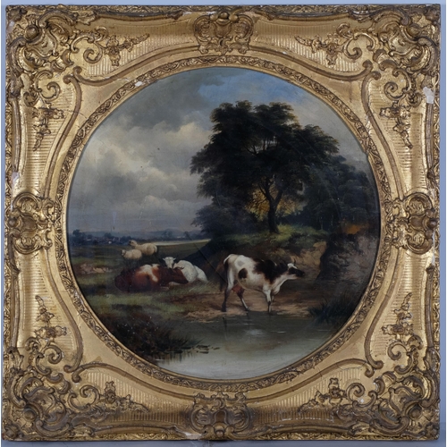 1239 - Cattle in landscape, pair of 19th century oils on canvas, unsigned, 46cm x 46cm, framed and glazed