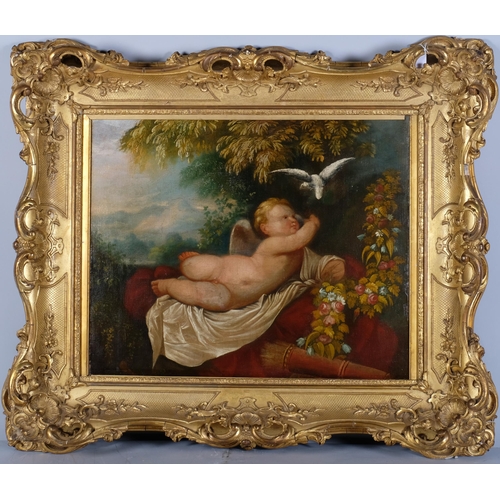 1243 - Cherub with a dove, oil on canvas, probably 18th century, unsigned, 51cm x 61cm, framed