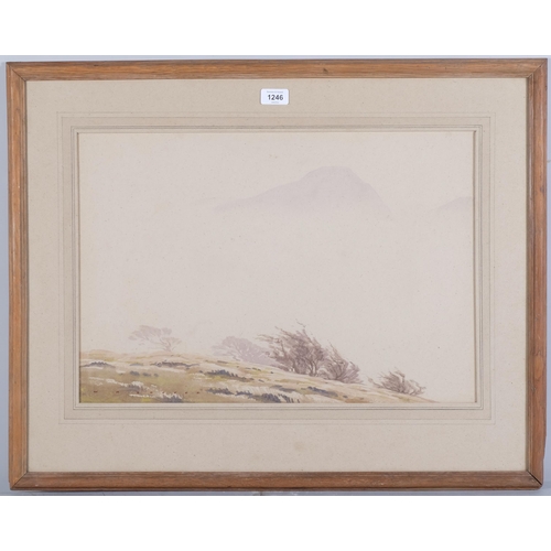 1246 - William Heaton Cooper (1903 - 1995), misty mountains, watercolour, signed, 37cm x 55cm, framed