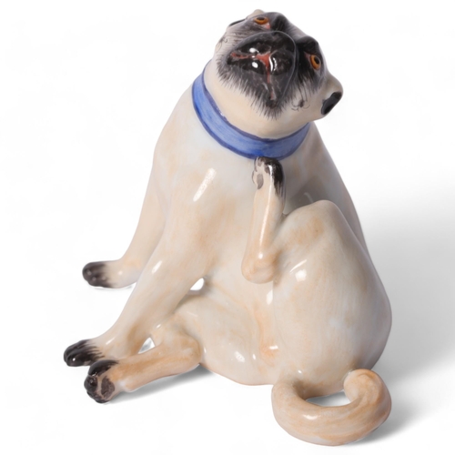 3 - Meissen, a porcelain figure of a seated Pug scratching his neck, with painted blue collar and gold b... 