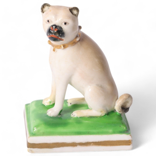 7 - A 19th century porcelain seated Pug, possibly Derby, on painted square base, with gold studded colla... 