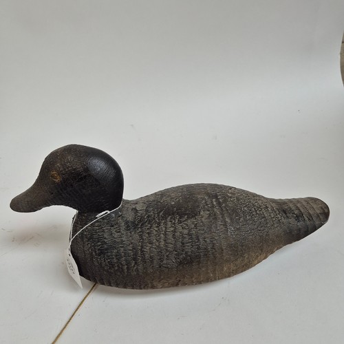 116 - 2 similar Folk Art carved and painted wood duck decoys, tallest 20cm
