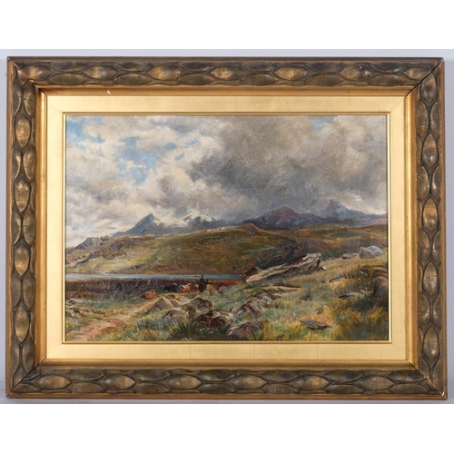 241 - Attributed to George Melville Rennie (1874 - 1953), highland landscape, oil on canvas, 31cm x 43cm, ... 