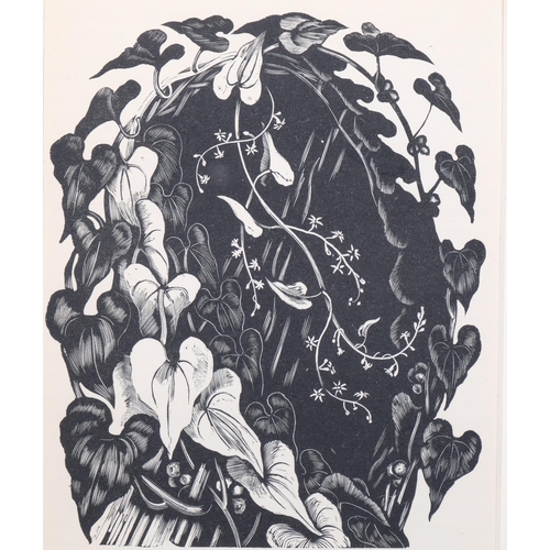 275 - John Northcote Nash (1893-1977), woodcut on paper, Black Bryony (1927), 15.5cm x 12.5cm, mounted, gl... 