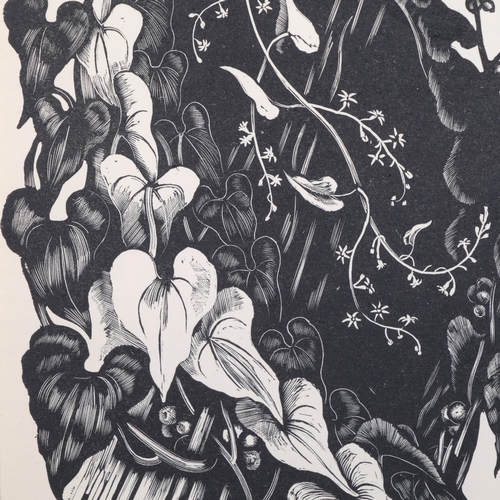 275 - John Northcote Nash (1893-1977), woodcut on paper, Black Bryony (1927), 15.5cm x 12.5cm, mounted, gl... 