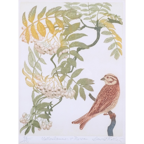 289 - David Koster (1926-2014), line engraving on paper, Yellowhammer and Rowan, signed, titled and number... 