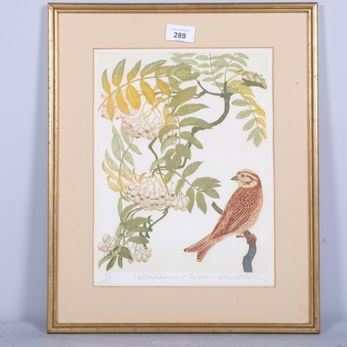 289 - David Koster (1926-2014), line engraving on paper, Yellowhammer and Rowan, signed, titled and number... 