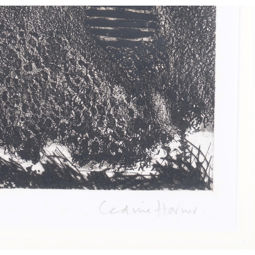 157 - Cedric Horner (1937 - 2003), Hedge Gaps, etching, signed in pencil, no. 5/20, plate 25cm x 32cm, fra... 