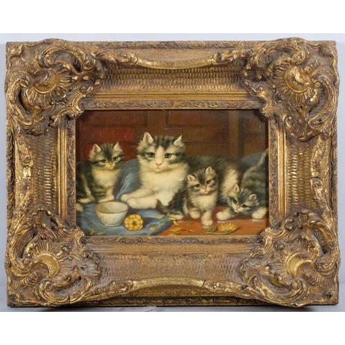 184 - Cats and kittens, modern oil on board, ornate gilt-gesso frame, overall frame dimensions 38cm x 48cm