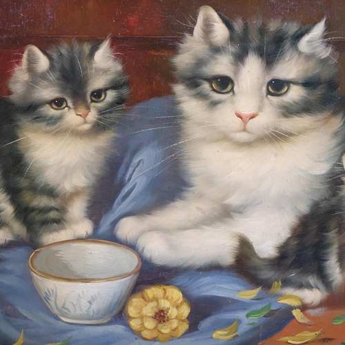 184 - Cats and kittens, modern oil on board, ornate gilt-gesso frame, overall frame dimensions 38cm x 48cm