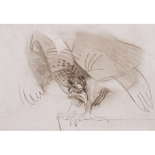 232 - Roland Jarvis (1926 - 2016), bird of prey, etching, signed in pencil, no. 26/75, plate 40cm x 60cm, ... 