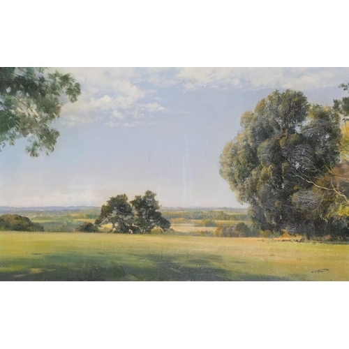 120 - Frank Wootton (1914 - 1988), landscape view from Vinehall to Battle, oil on canvas, 50cm x 81cm, fra... 