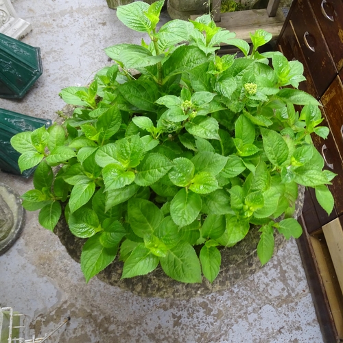 3265 - A large and impressive cast stone planter in single section, 70x95cm.