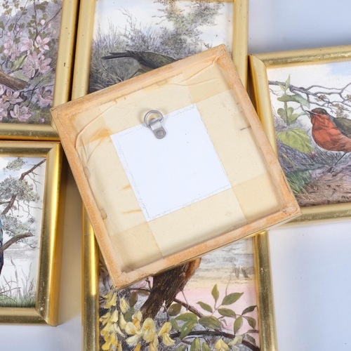 574 - A set of 6 late 18th/early 19th century tiles, with paintings of birds, all framed in gilt surround