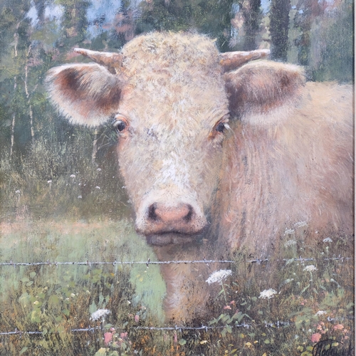 691 - Clive Madgwick RBA (1934 - 2005), study of a bull, oil on canvas, 40cm x 30cm, framed