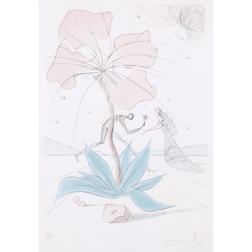 719 - Salvador Dali, flower and figure, 1973, Transworld Art lithograph/etching, signed in pencil, no. 31/... 