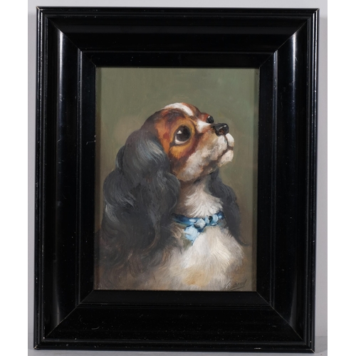 724 - W H Dean, King Charles Spaniel, oil on board, 20cm x 15cm, framed