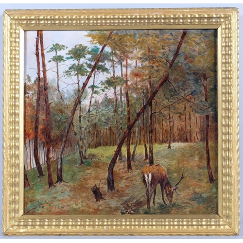 733 - 19th century European School, deer in woodland, oil on canvas, indistinctly signed, 38cm x 40cm, fra... 