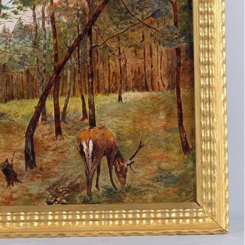 733 - 19th century European School, deer in woodland, oil on canvas, indistinctly signed, 38cm x 40cm, fra... 