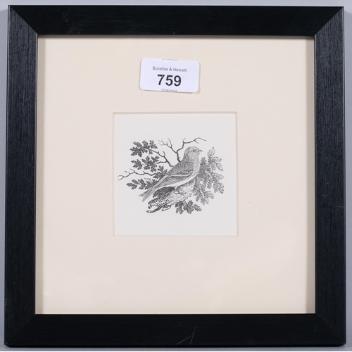 759 - Thomas Bewick (1753-1828), wood engraving on paper, The Lesser Redpole, 6cm x 7.5cm, mounted, glazed... 