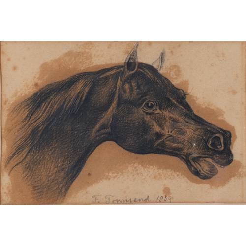 776 - F Townsend, portrait of a horse, charcoal on paper, 1839, 12cm x 19cm, framed