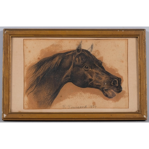 776 - F Townsend, portrait of a horse, charcoal on paper, 1839, 12cm x 19cm, framed