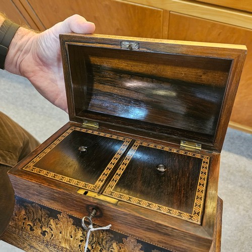 579 - A mid-19th century dome-topped Tunbridge Ware rosewood tea caddy, with pictorial dome depicting Bayh... 