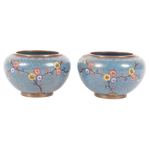 223 - A pair of blue ground cloisonne pots, H7.5cm