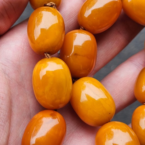 1168 - A single-row graduated amber bead necklace, beads measure: 29.0 - 17.5mm, 50cm, 82g