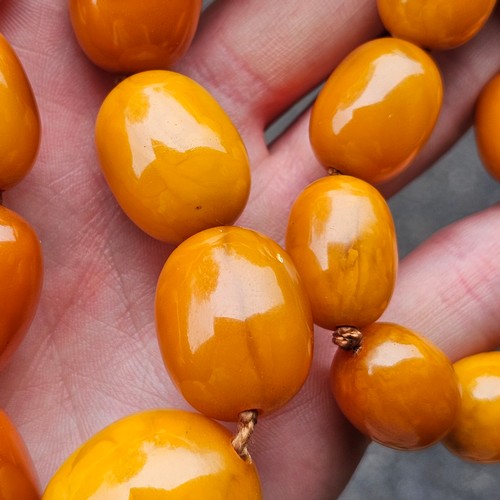 1168 - A single-row graduated amber bead necklace, beads measure: 29.0 - 17.5mm, 50cm, 82g