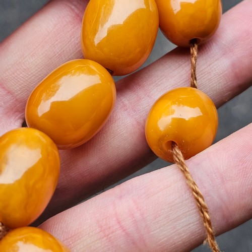 1168 - A single-row graduated amber bead necklace, beads measure: 29.0 - 17.5mm, 50cm, 82g