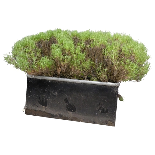 2807 - A rectangular painted galvanised metal planter, containing a mature rosemary bush. Planter dimension... 