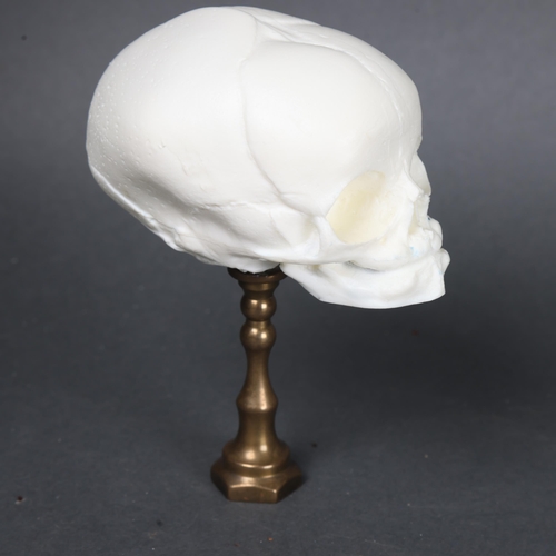 3018 - Human Anatomy : Human Baby Fetal Skull Replica. 
1:1 scale replica of a human baby skull on brass pl... 