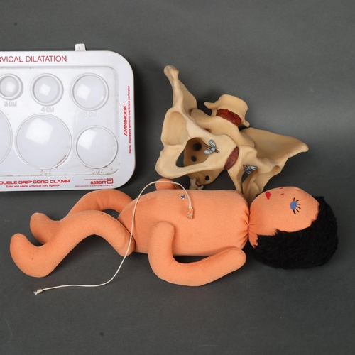 3024 - Human Anatomy : A vintage teaching aid, birthing demonstration, model includes baby and pelvis and d... 