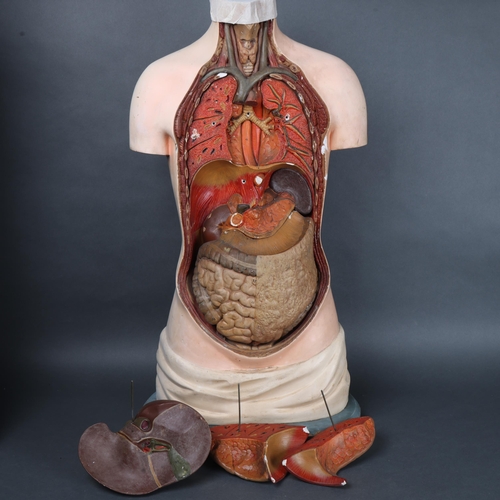 3025 - Human Anatomy : A 1920s educational anatomical model torso by Somso that was once used in a medical ... 