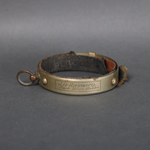 3073 - Curiosity/Macabre : A Victorian metal bespoke Monkey animal collar, with three settings, the collar ... 