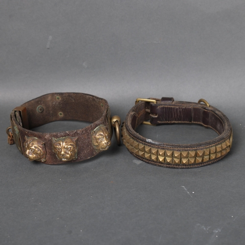 3074 - Curiosity/Macabre : Two Victorian brass and leather dog collars, one with engraved name plate readin... 